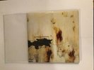 Nine Inch Nails - The Downward Spiral - 2 LP Back To Black 180g Vinyl High Grade