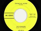 Northern Soul/Garage 45 - Avengers - No Wonder - Mr. Genius - VG++ mp3