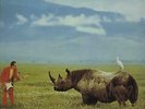Adrian Belew Lone Rhino vinyl LP album record UK ILPS9675 ISLAND 1982