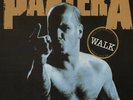 Pantera Walk - Live Material UK 12