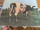 Sealed Pink Floyd Master Recording Vinyl