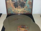 STEVE WALSH - BLACK BUTTERFLY - GOLD - NUMBERED - MOV - MUSIC ON VINYL - 2 LP