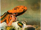 Gentle Giant - Octopus LP  (Vertigo 6360 080)