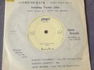 VERDEN ALLEN rare UK 1984 / HEAVY ROCK GLAM / MOOT THE HOOPLE PRETENDERS /MINT-