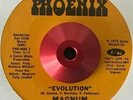 MAGNUM - Evolution/Your Mind - 45 rare SOUL FUNK 1975 PHOENIX NORTHERN MODERN