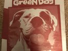 Green Day Slappy Rare 7
