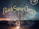 Black Stone Cherry - Family Tree