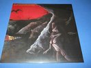 LP ITALIAN PROG IL BACIO DELLA MEDUSA - DISCESA AGL'INFERI D'UN GIOVANE ORIGINAL