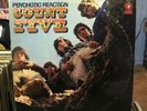 COUNT FIVE - Psychotic Reaction - Vinyl LP 1966 Mono 1st Press DSM-1001 Rock