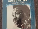 Muddy Waters 