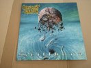 Malevolent Creation, Stillborn, Vinyl (Roadrunner Records ?– RR 9042-1)