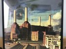 Framed PINK FLOYD ’Animals' 12