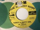 The Juniors 45 MGM Lbl. w/ Mick Taylor MINT PROMO Rolling Stones