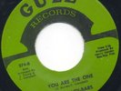 Phenomenal Sweet - CANDI-BARS - You Are The One - Gule