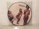 DWARVES blood guts and pussy PICTURE DISC vinyl lp sub pop offspring nofx punk