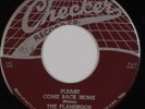THE FLAMINGOS: Please Come Back Home ’55 Checker Doo Wop Orig 45 Hear