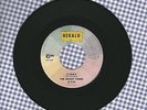The Smart Tones Ginny Bob O Link Herald 45 Record VG++ Doo Wop SCARCE SEE