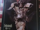 Behemoth - The Satanist    Limited LP  Firstpress