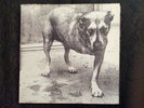Alice In Chains Vinyl Same 1995 COL 481114-1 Zustand Vinyl Sehr Gut