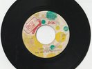rare 1970S IRON SIDE LABEL THE NEW ESTABLISHMENT 