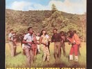 REGGAE IN THE GRASS Roy Richards Dimensions Val Bennett STUDIO ONE 1969 VINYL LP