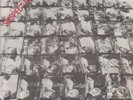 STIFF LITTLE FINGERS Suspect Device / Wasted Life ps 1978 Rigid Digits Red Label
