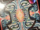 Tash sultana Flow State RARE orange + Yellow Vinyl