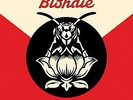 Pollinator - BLONDIE [LP]