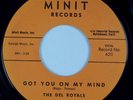 THE DEL ROYALS: Close To You US MINIT Group Soul Doo Wop 45 NM