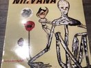 nirvana incesticide vinyl