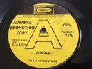 Ray King Soul Band - Behold / Soon You’ll Be Gone 1967 UK PICCADILLY *PROMO* SKA
