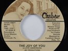 Modern Soul 45 CASH The Joy Of You CASBAR VG++ HEAR