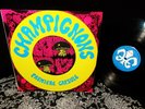 TOP LEVEL ACID LP 1972 RARE Orig THE MUSHROOMS   PREMIERE CAPSULE   PROG PSYCH