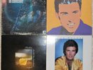 Ricky Nelson, 4 Vinyl Record Lot, 3 LP & 1 DLP, All US 1st Press, Rockabilly Pop