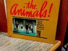 THE ANIMALS-ANIMAL TRACKS-ORIG 1965 M-MONO MGM BLUES ROCK LP