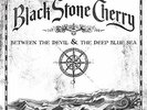 Black Stone Cherry-Between The Devil and The Deep Blue Sea (1LP Colour VINYL NEW