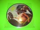 FRANTIC FLINTSTONES A NIGHTMARE ON NERVOUS LP PIC DISC PSYCHOBILLY ROCKABILLY