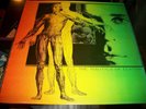 Magic Mushroom Band ?– The Politics Of Ecstasy - LP - 1986 - Pagan Music Ltd