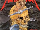Metallica ?- Harvester Of Sorrow (12