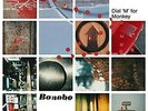 Dial M For Monkey - BONOBO [2x LP]