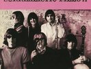 JEFFERSON AIRPLANE - Surrealistic Pillow (reissue) - Vinyl (LP)