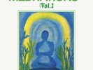 JOEL VANDROOGENBROECK Meditations Vol. 2 LP brainticket emeralds grouper