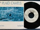 THE PLAID CAMELS: You Get Me Down Rare Rock 45 & Picture Sleeve SMALL WORLD