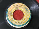 PRINCE TALLIS / NEVER SEE COME SEE ROOTS REGGAE 45 VERY RARE SHOT