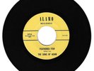 RARE GARAGE PSYCH 45 The Sons of Adam on ALAMO Feathered Fish arthur lee HEAR