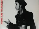 Prince and The Revolution Mountains 12