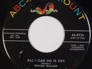 WAYNE WALKER: All I Can Do Is Cry ABC PARAMOUNT Rare  Rockabilly Orig 45 HEAR