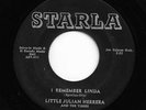 Doo Wop R&B/Rock & Roll 45 LITTLE JULIAN HERRERA I Remember Linda/True Fine Mama