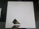 COIL (THROBBING GRISTLE/PTV) - THE NEW BACKWARDS - 2016 IMPORTANT US RED VINYL