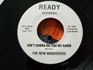 The new wanderers aint gonna do you no harm